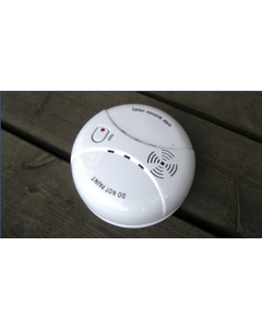 Understanding Carbon Monoxide (CO) in Residential Appliances