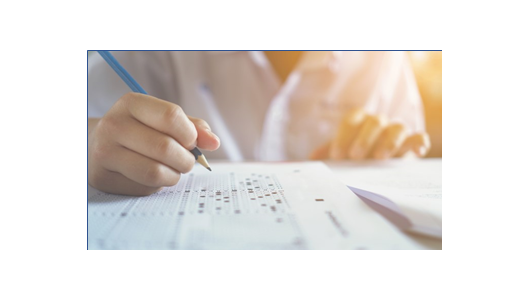 BPI BA Professional Review