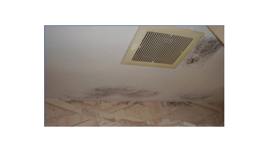 Moisture Management
