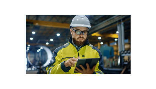 Virtual Assessments: Safety, Privacy and Ethics